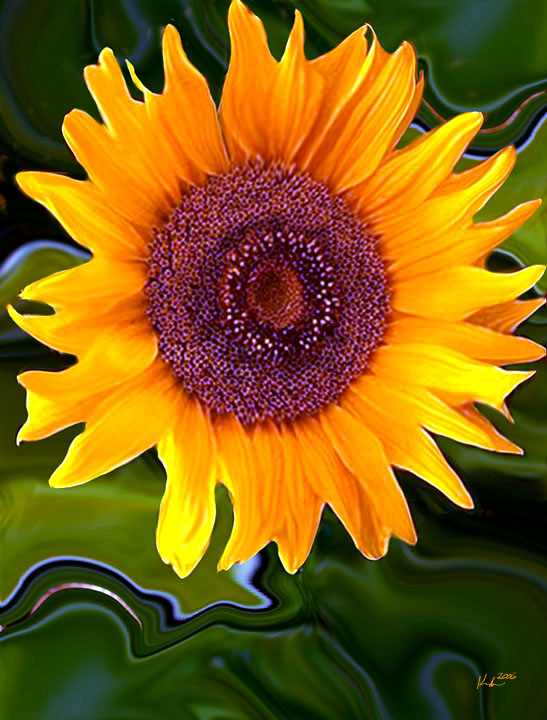 sun 7.5x10