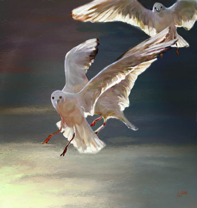 gulls 9x10