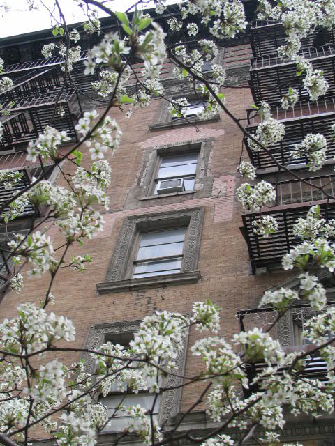 Ghosts of window lintels- Manhatten.jpg