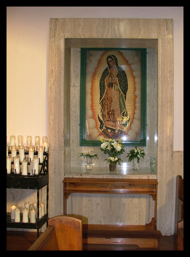 Virgin in side Our Lady of Lourdes in ELA.