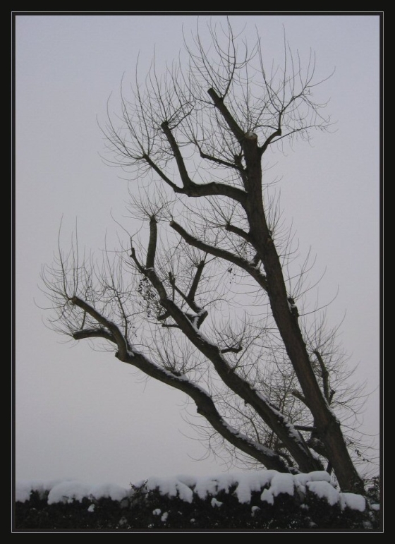 Wintertime