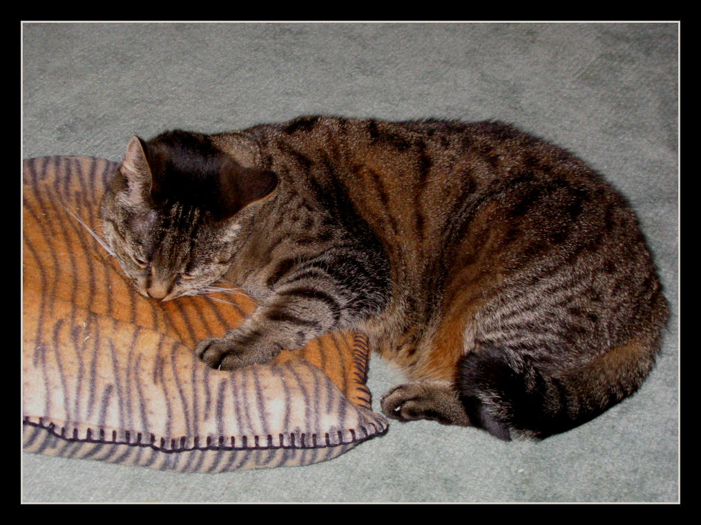 I love my pillow