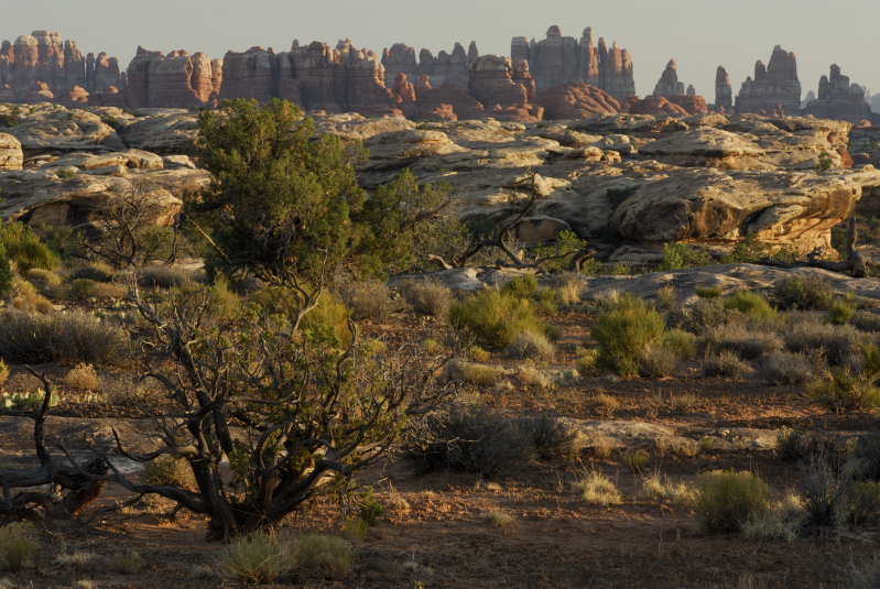 The Needles - Canyonlands NP