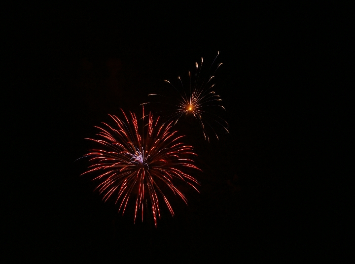 DSC01445crop.jpg