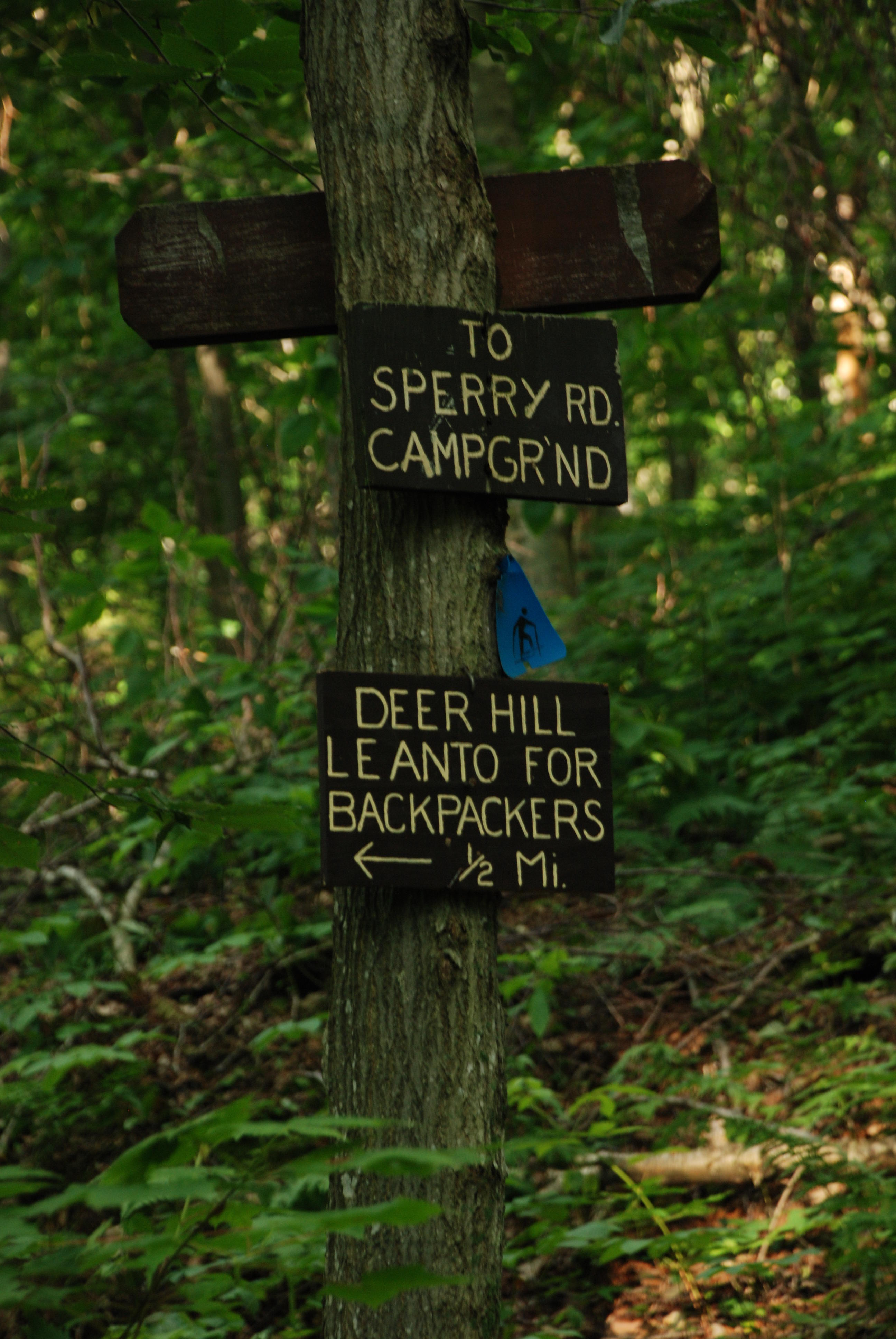 On the way to Deer Hill