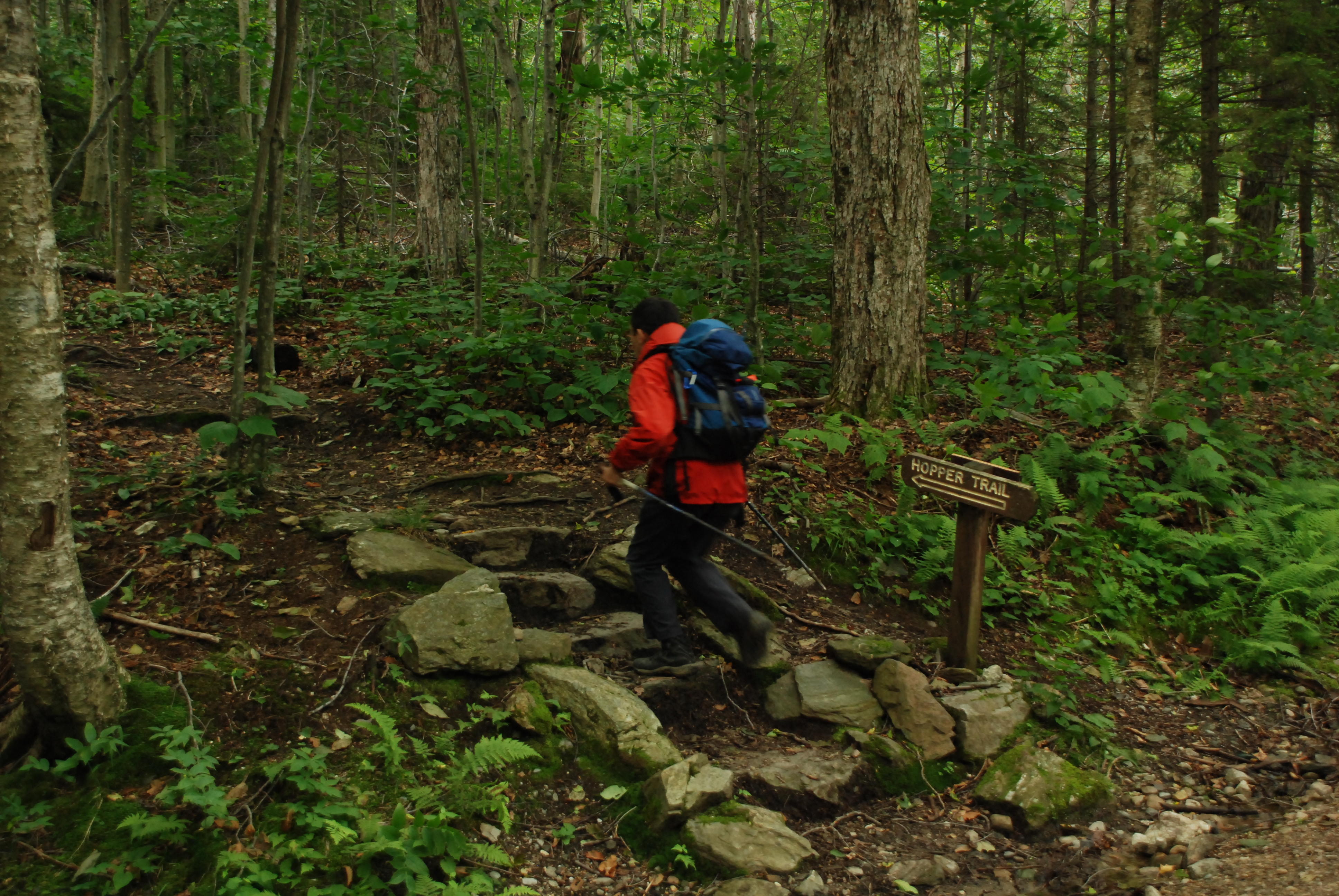 To the summit