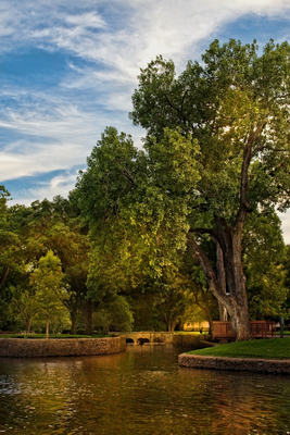 Park Scene, Dallas, Tx