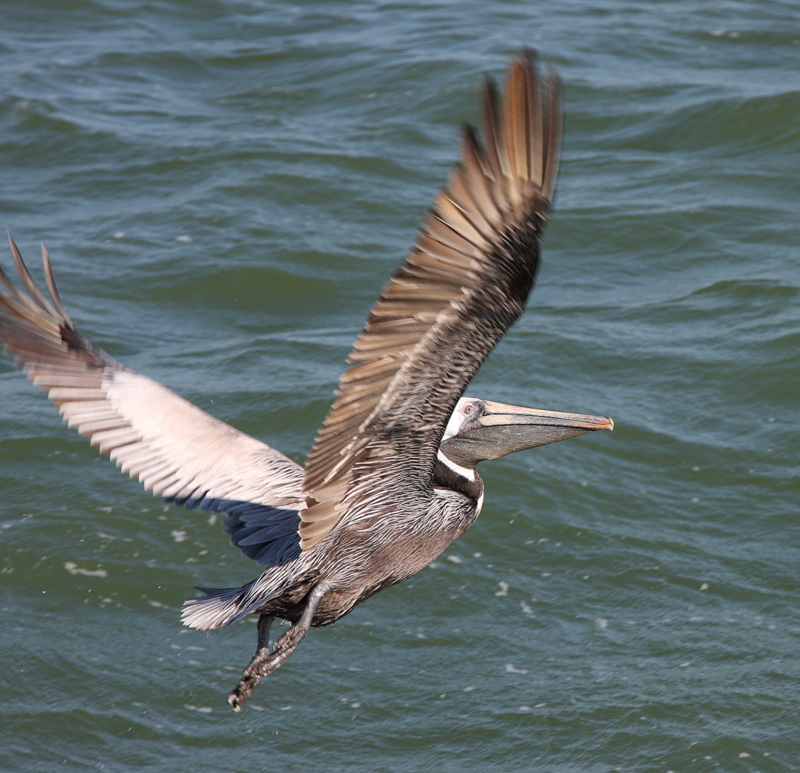 IMG_8783.JPG