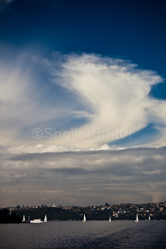Cloud over Sydney Harbour