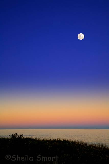 Moonrise over Collaroy Beach