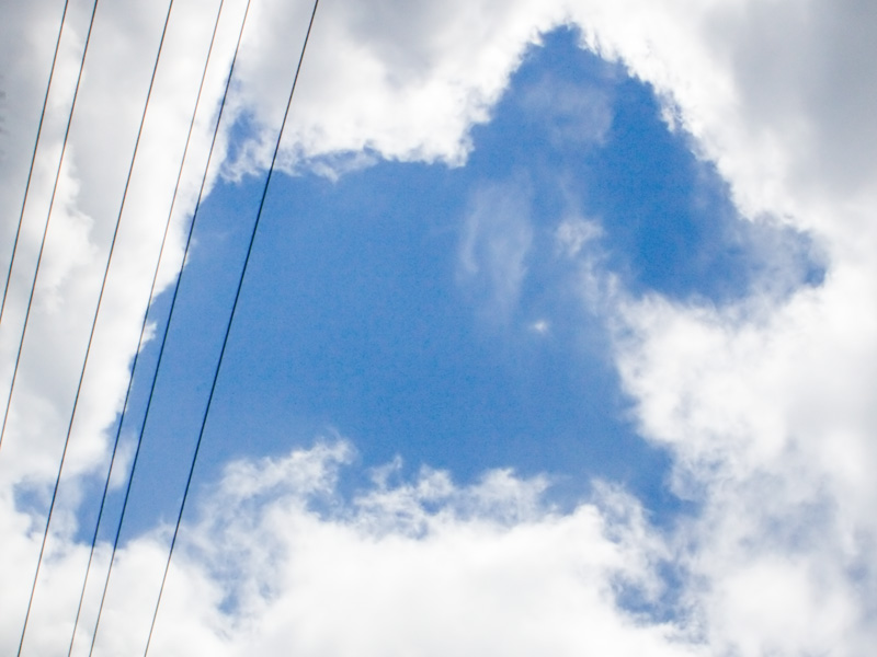 Dog in the Clouds (from the car)