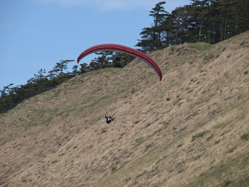 paraglider