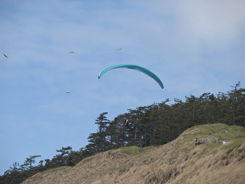 paraglider
