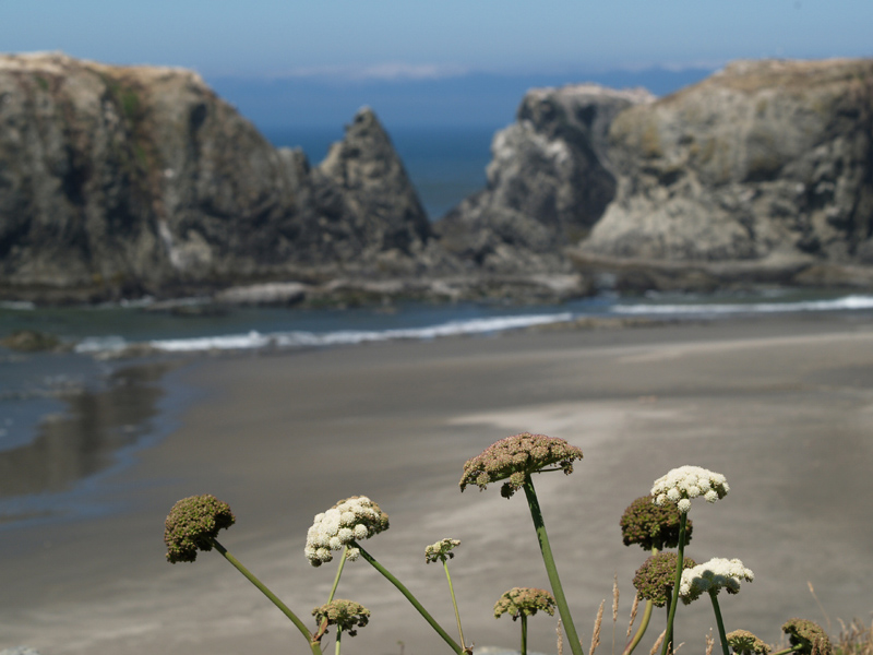 Oregon05_12.JPG