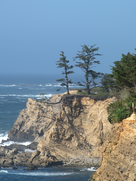 Oregon05_22.JPG