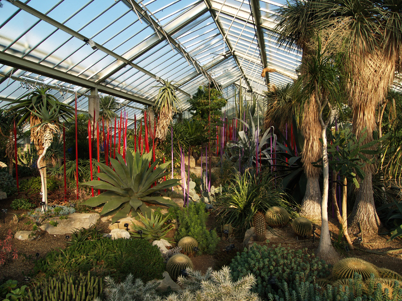Chihuliy@Kew