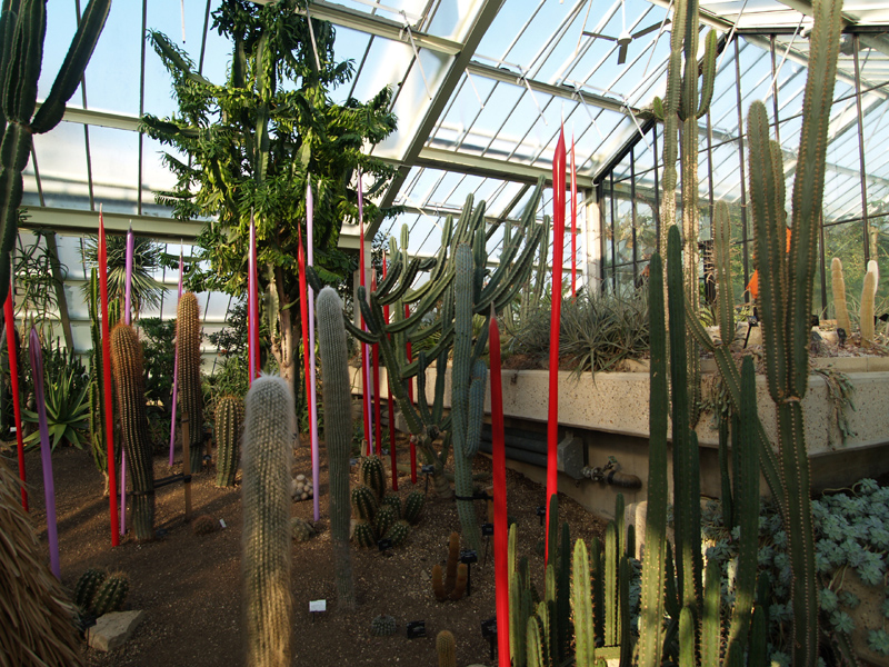 Chihuliy@Kew