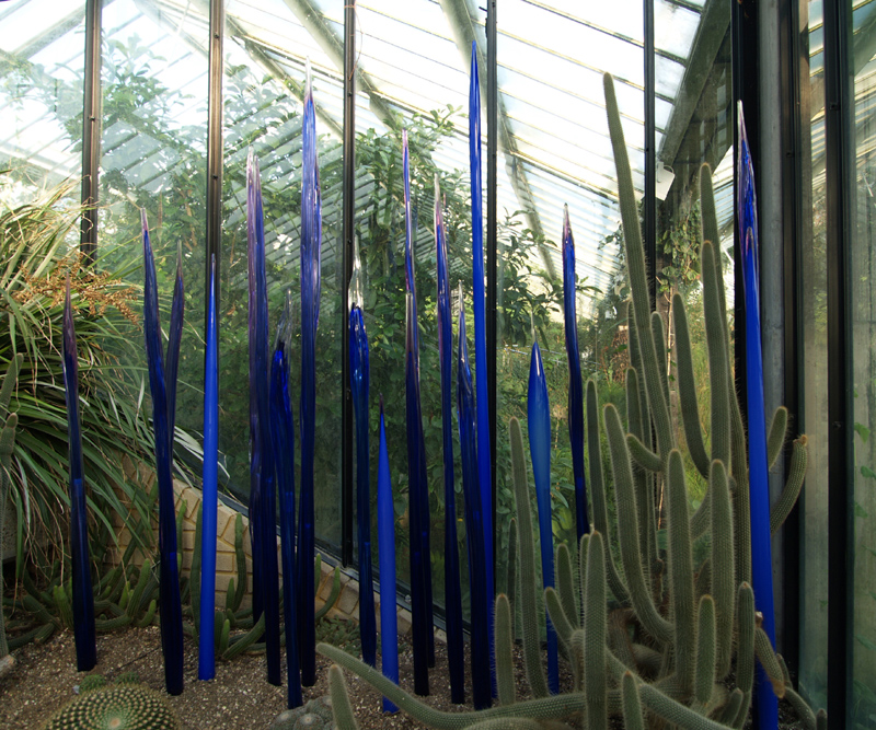 Chihuliy@Kew