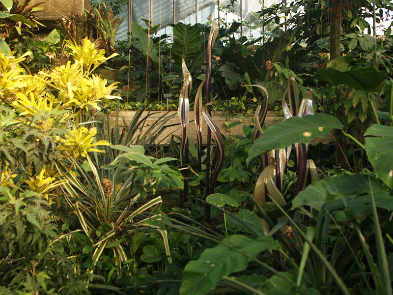 Chihuliy@Kew
