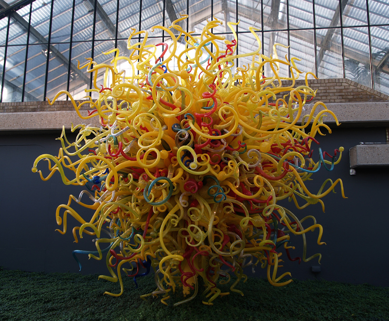 Chihuliy@Kew
