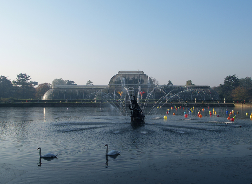 Palm House and Pond