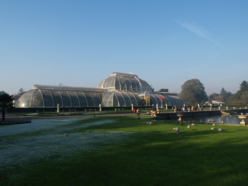 Palm House