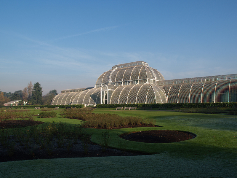 Palm House