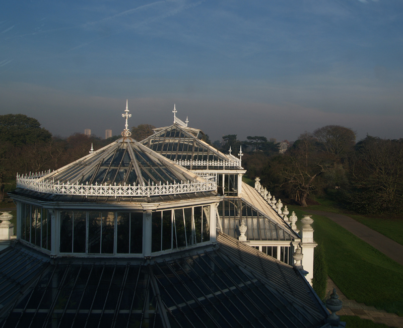 Temperate House