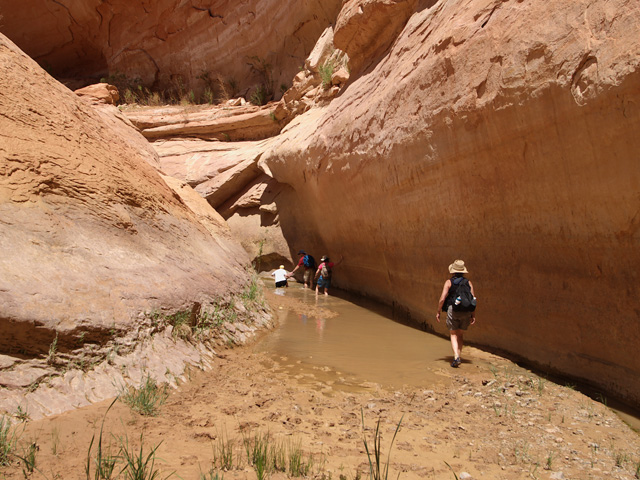 50 Mile Canyon