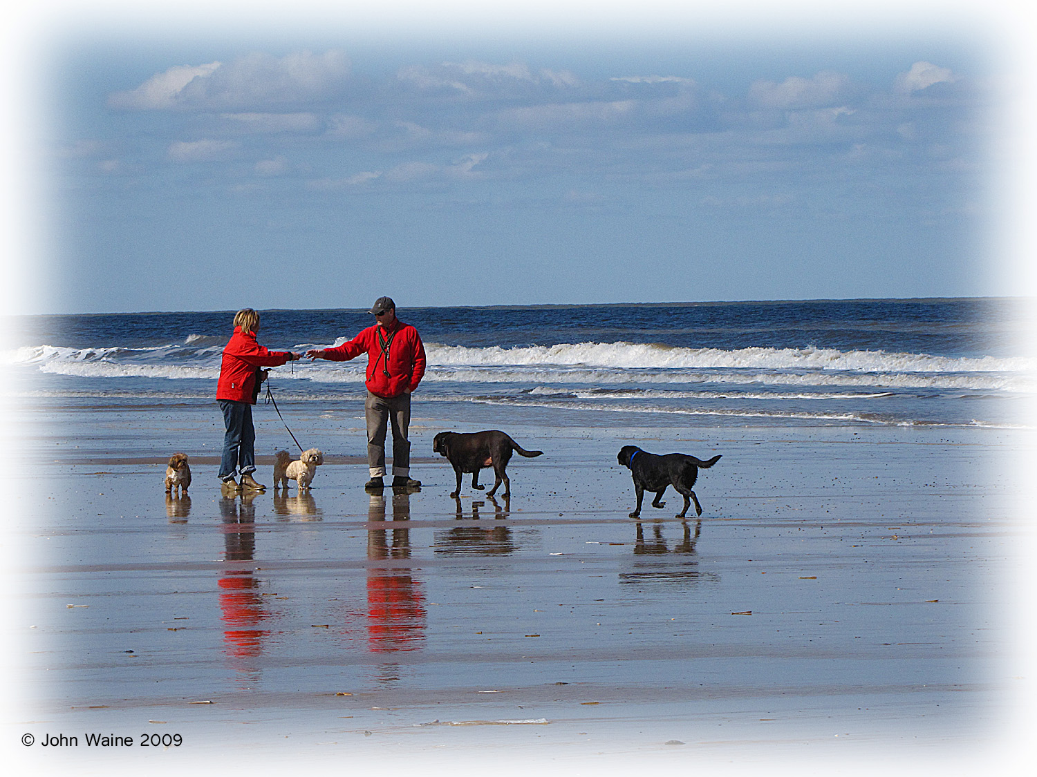 His & Hers dogs (Jack Vettriano style?)