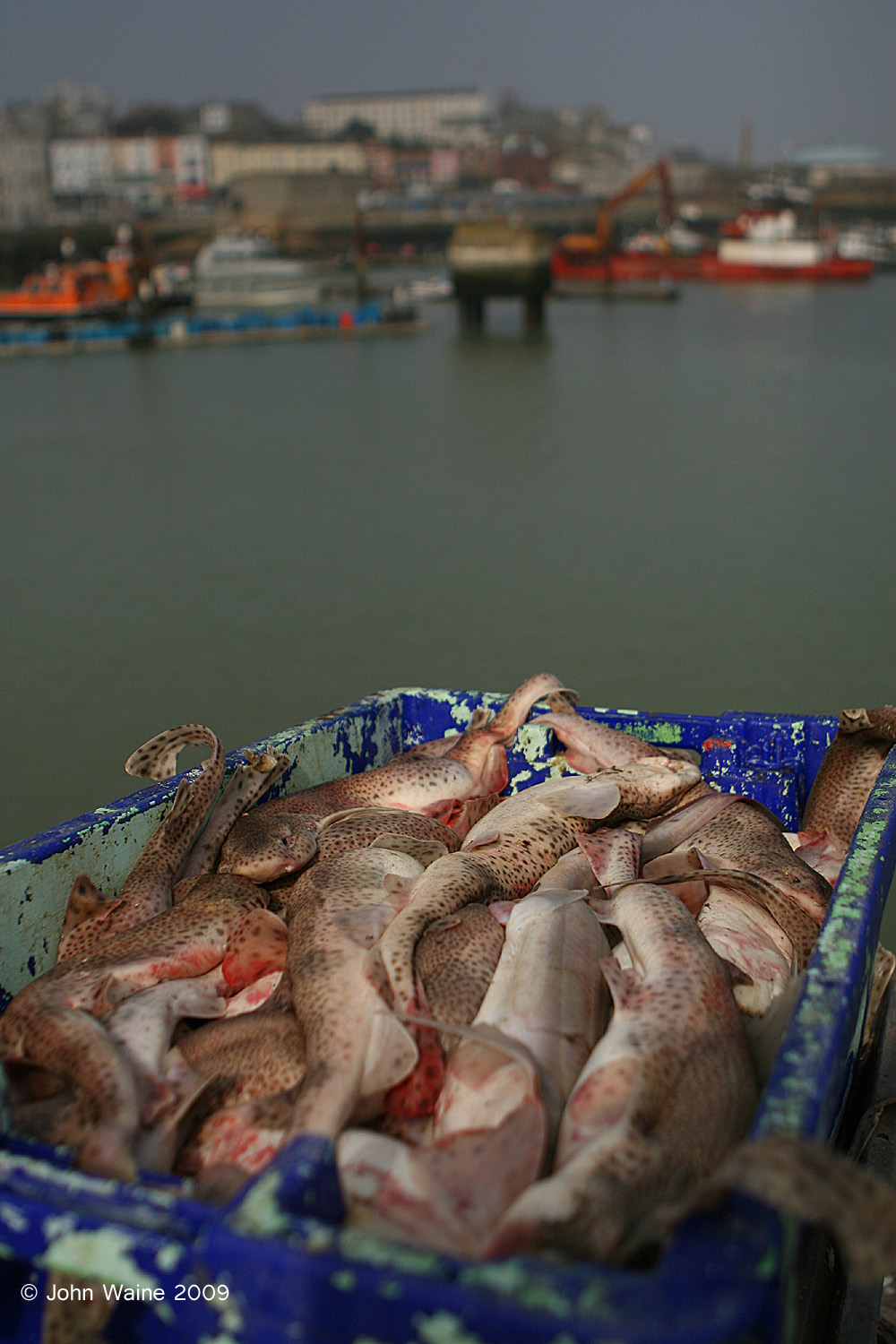 Fishing