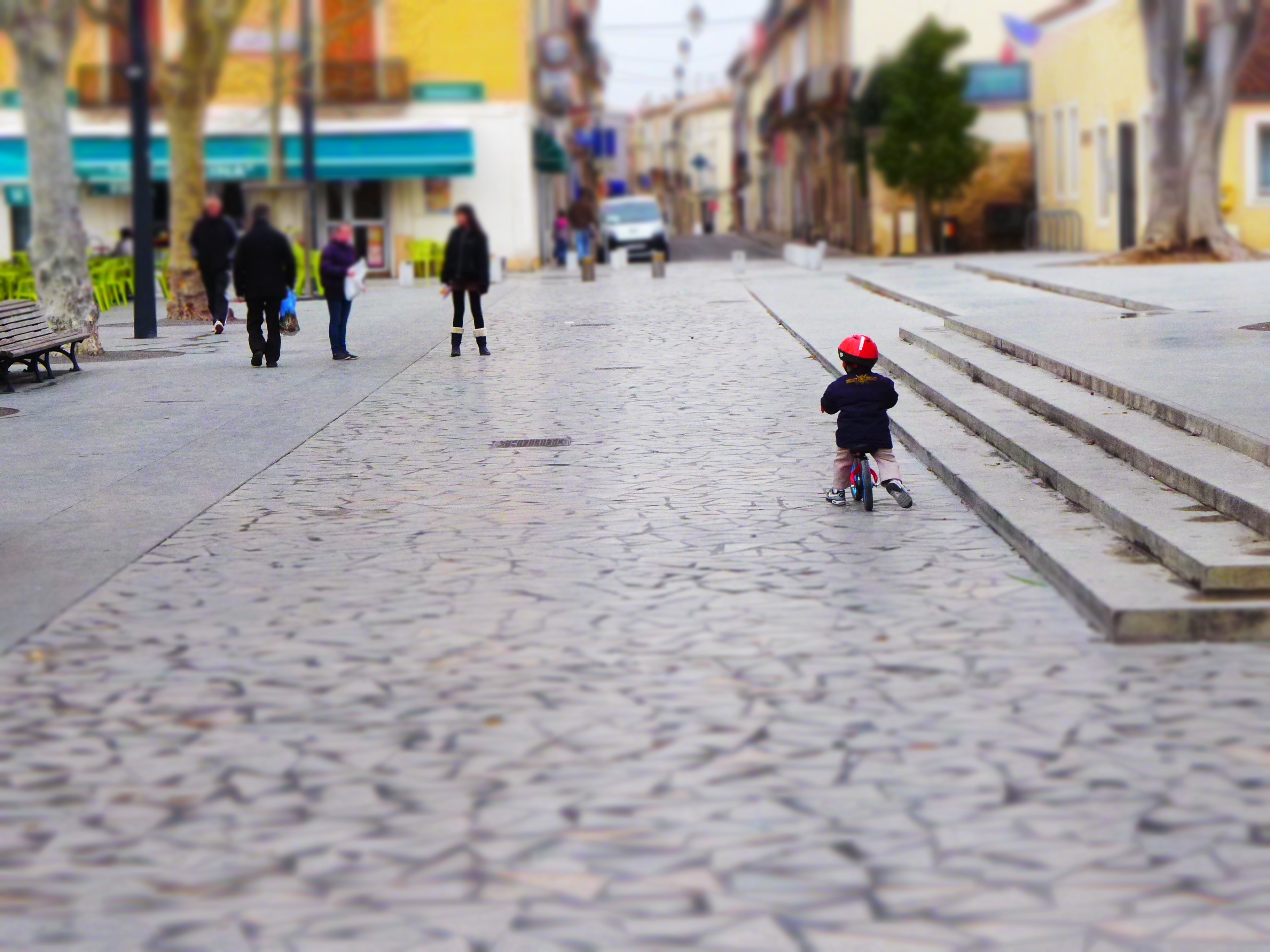 The Novice Cyclist