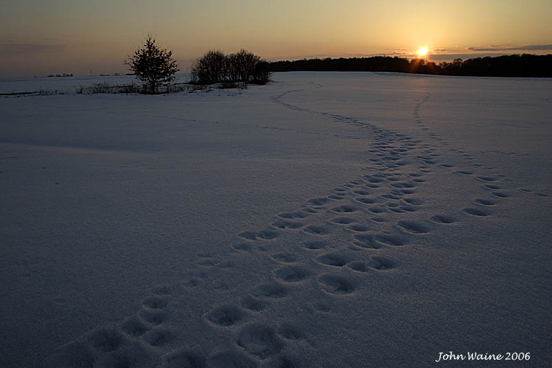 20060323 Snowy Wrotislavian Sundown