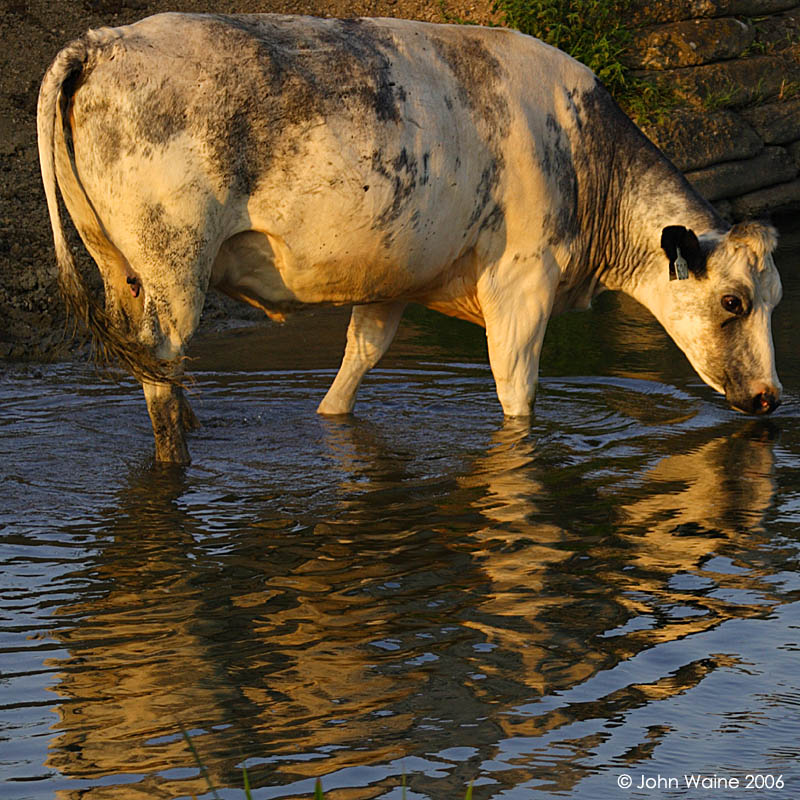Cooling Off