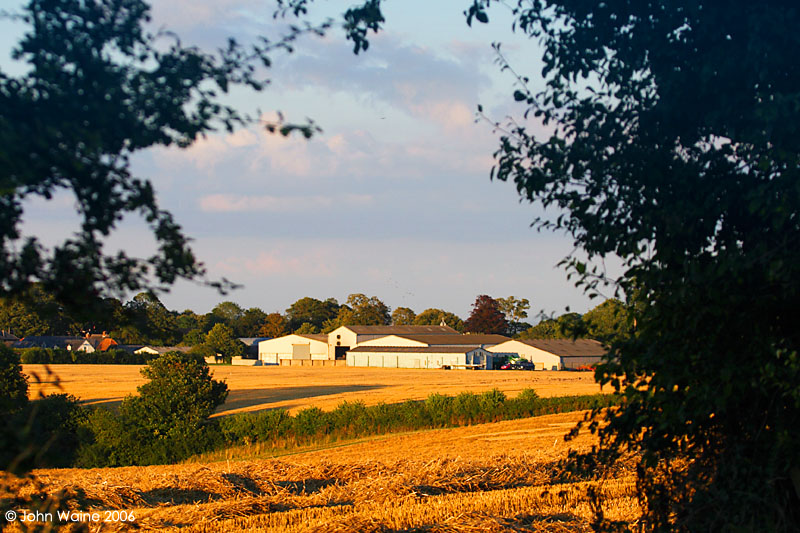 Harvest Farm
