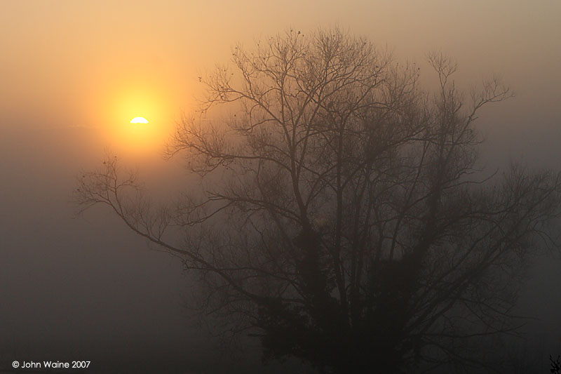 Sun Through The Fog