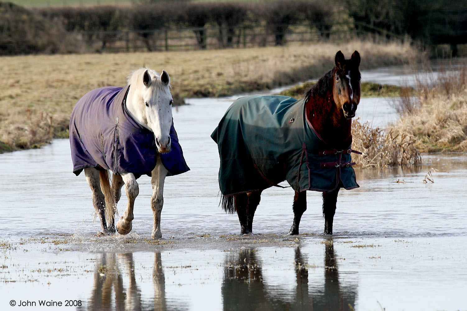 Walking Upstream