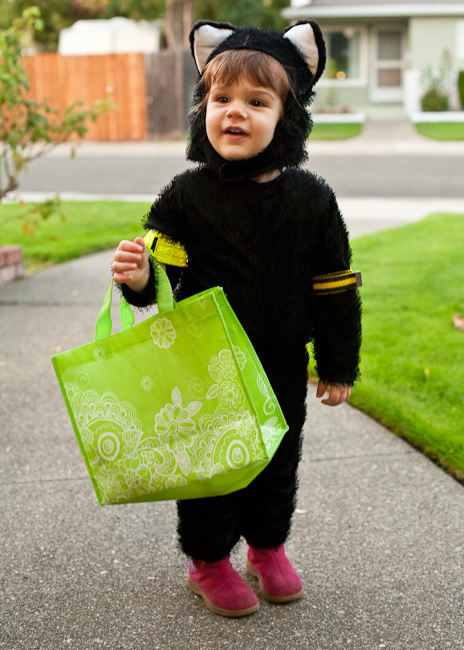 IMG_8083_web.jpg
