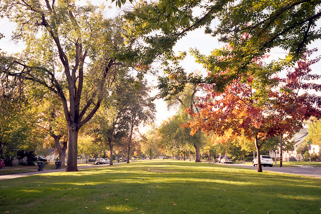 20101101_008_web.jpg