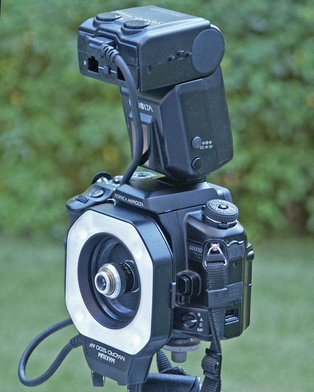 Flash Rig 2417.jpg