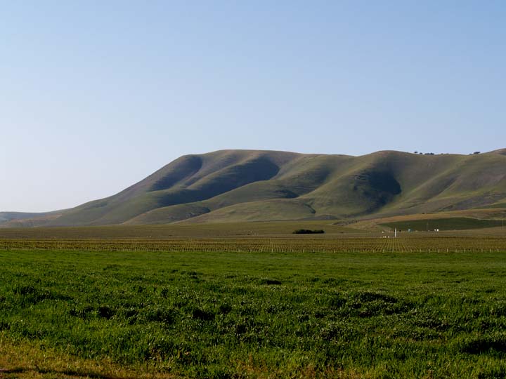 Hills over vinyards