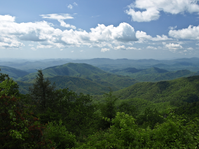 On the Blue Ridge Parkway near Mt. Mitchell