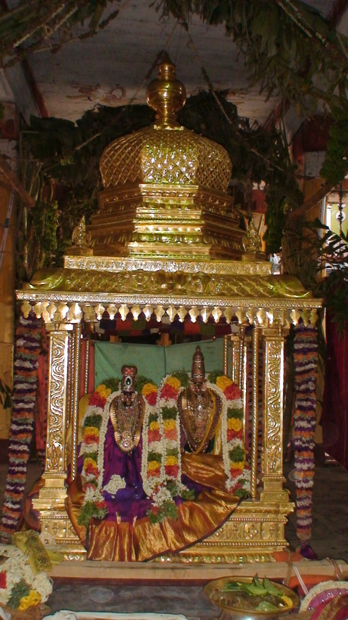 DSC01274.JPG
