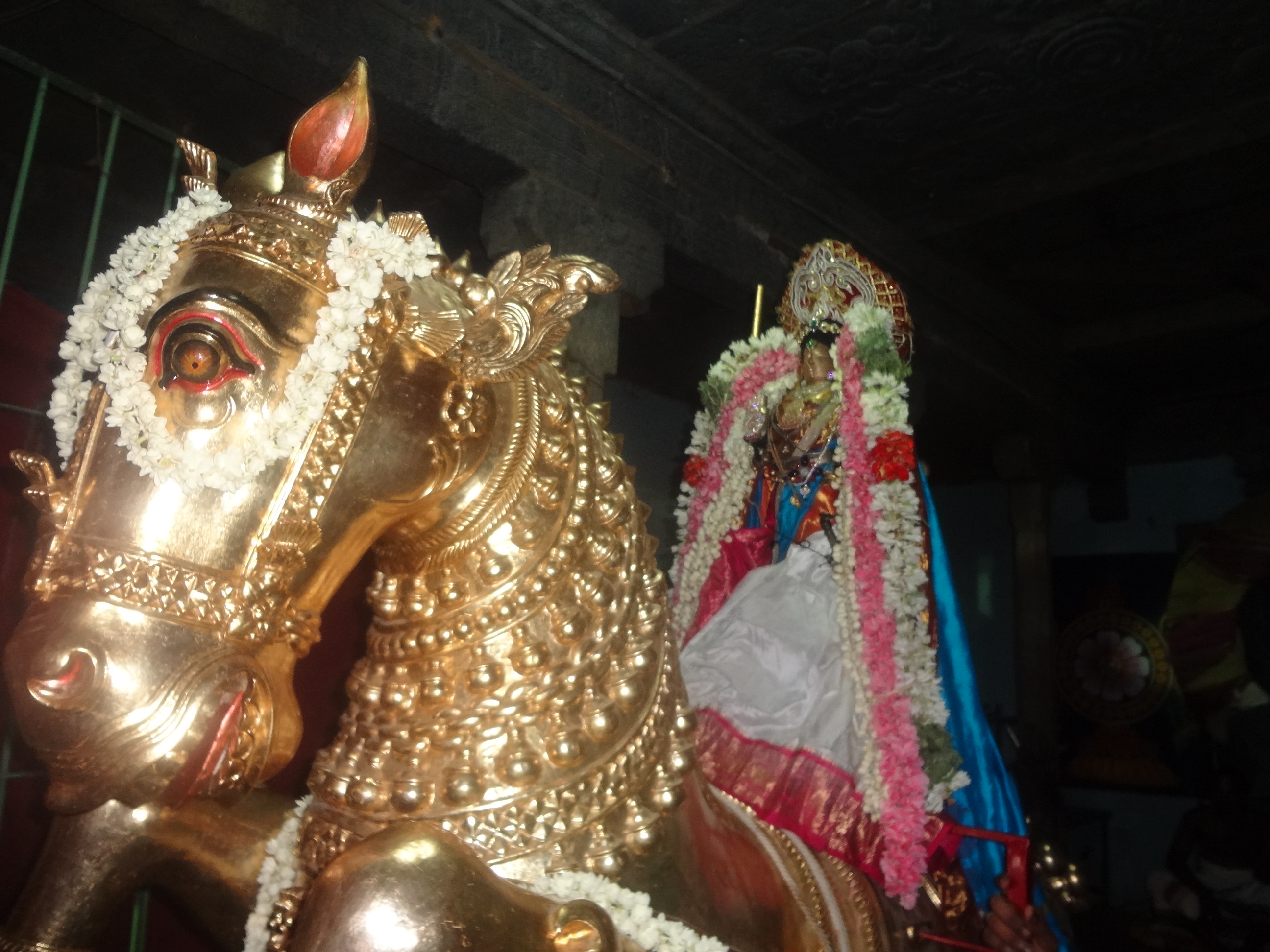 DSC03715.JPG