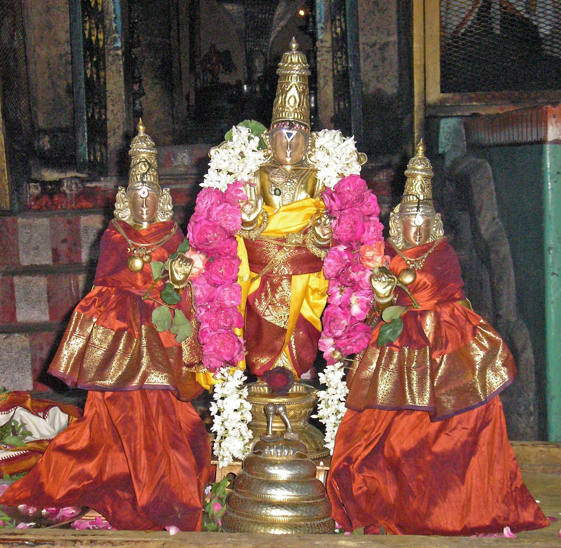 Akkarakkani