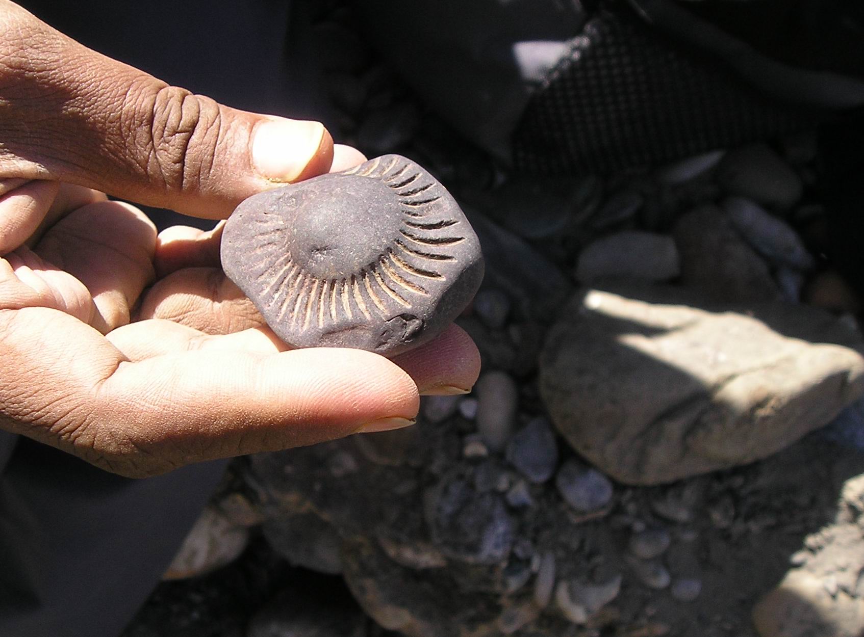 Salagramams found on river bed-1