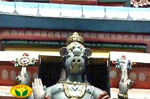 Sri varahasvAmy adorning the vimAnam