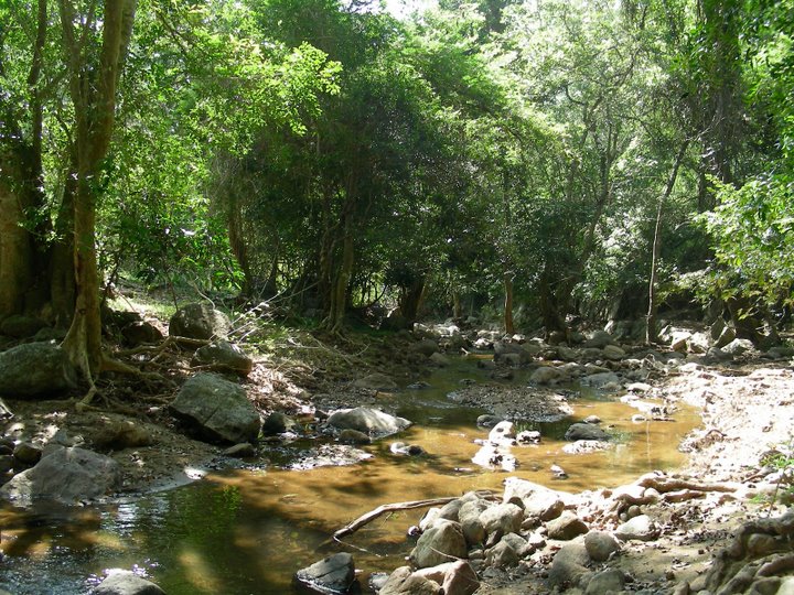 35-iraviyin kadhirgal nuzhaidhal seidhariya - Way to Kattazhagar koil.jpg
