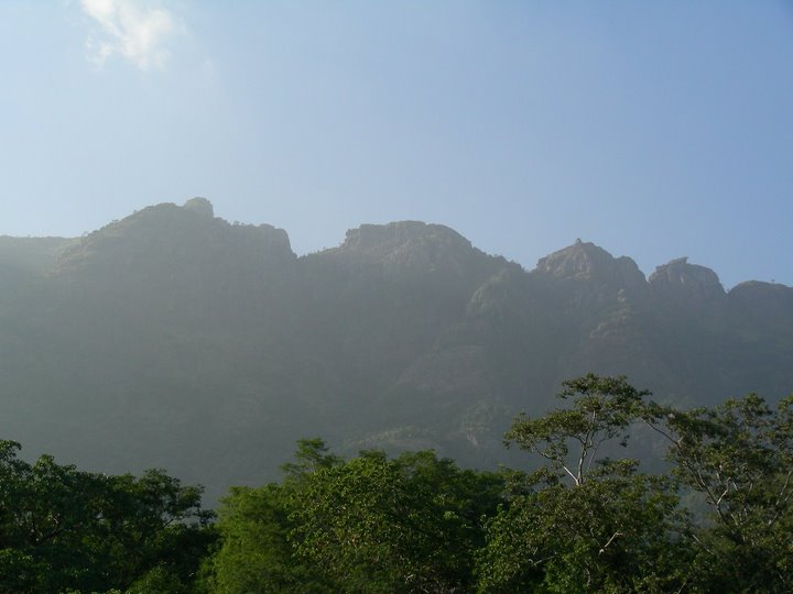 38-nAru narum pozhil mAliruncholai.jpg