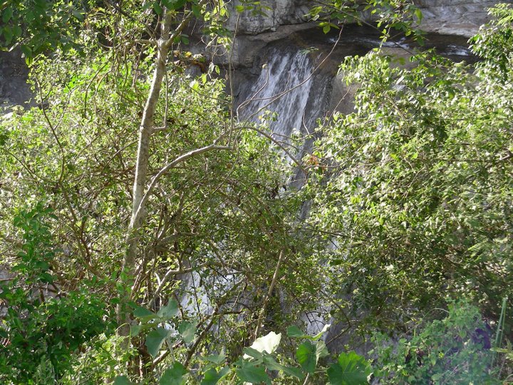 39-sandhodu kAragilum sumandhu thadangal porudhu, vandhizhiyum silambArudai mAliruncholai.jpg